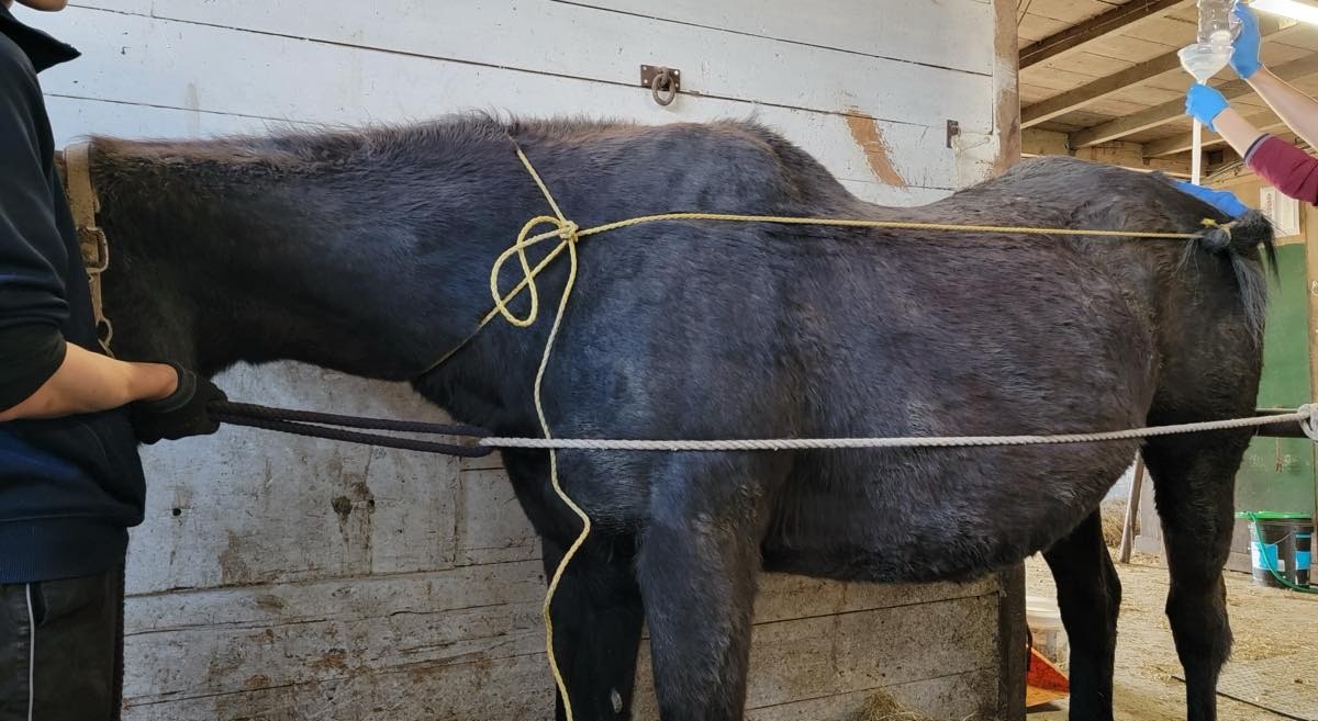 483482e4304426a5974a8187c882eb3f-1776211294.jpg 483482e4304426a5974a8187c882eb3f-1776211294.jpg